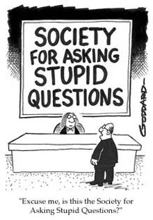 Stupid